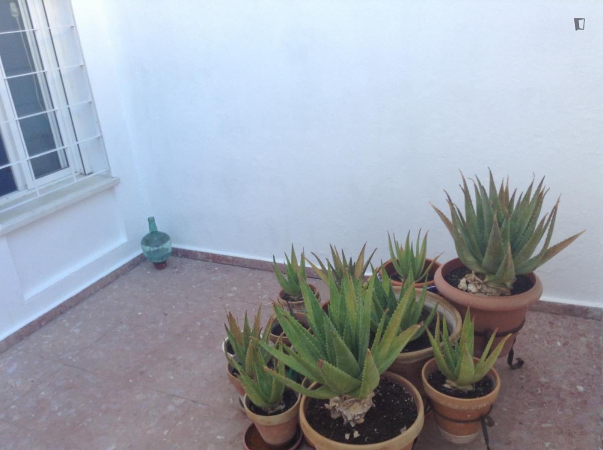 Casa en alquiler, Sevilla