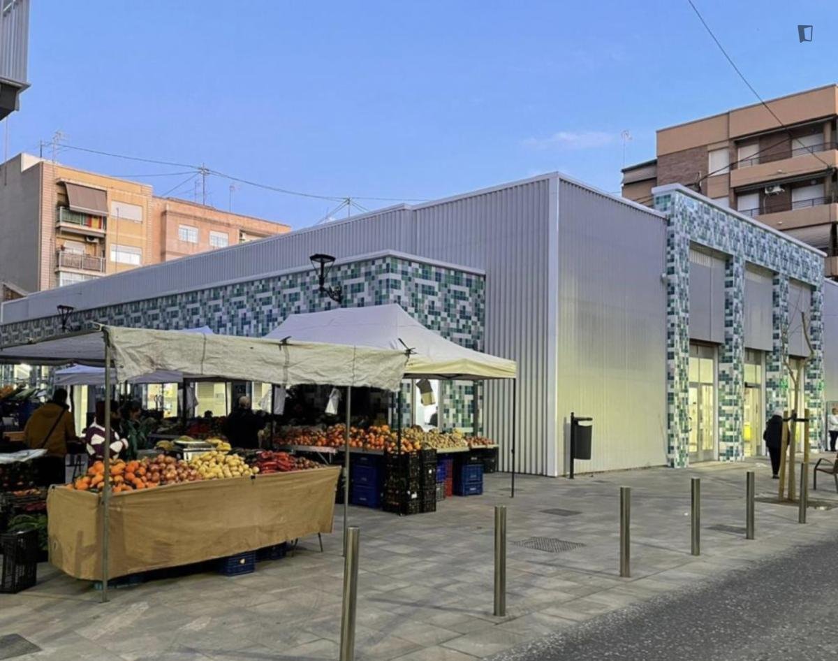 Habitació de lloguer, Alacant