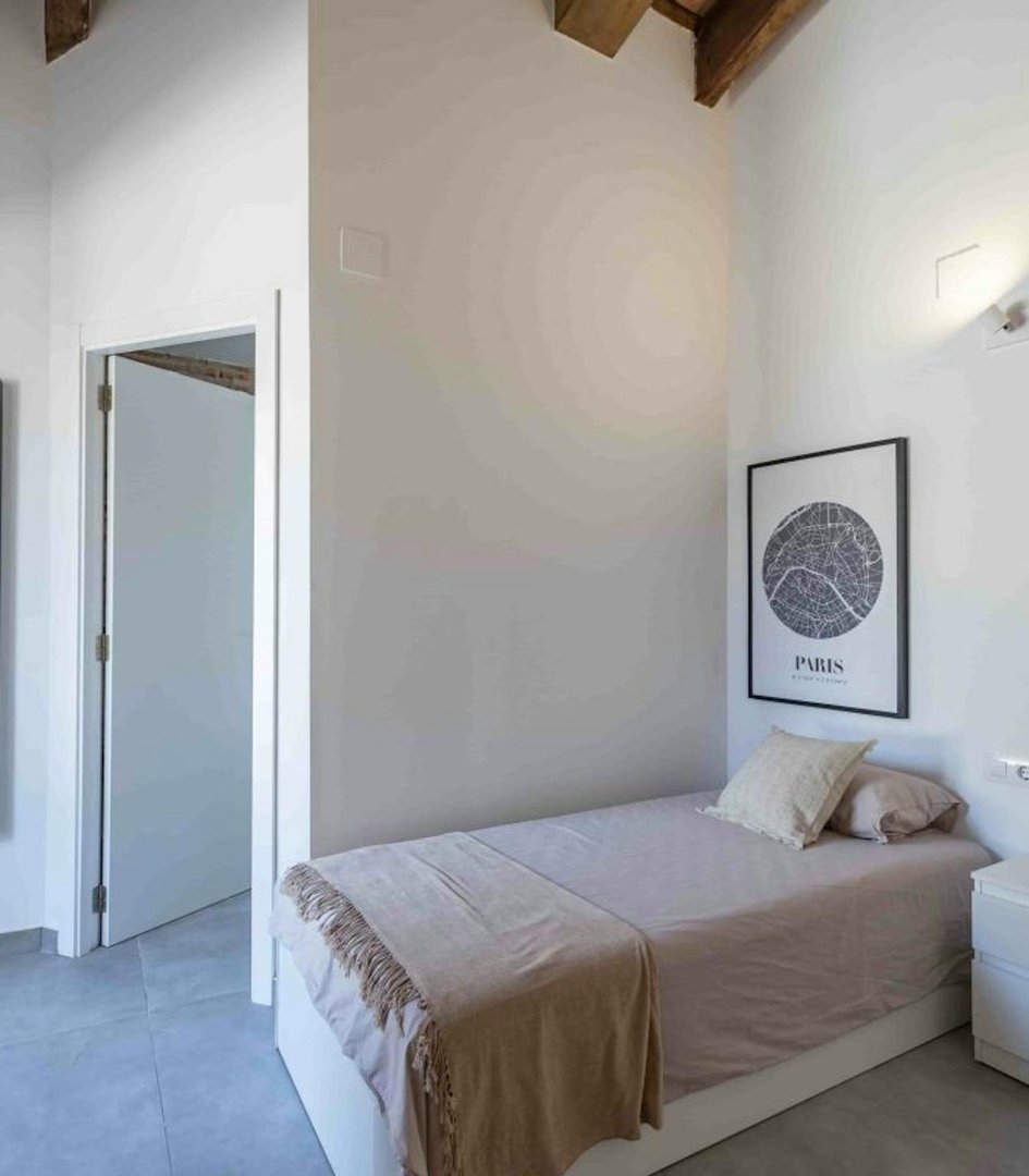 Stanza in affitto, Valencia