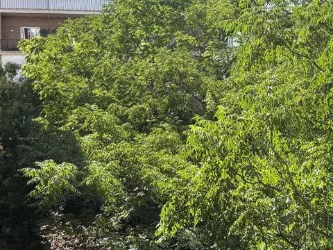 Appartamento 48 m² a Madrid