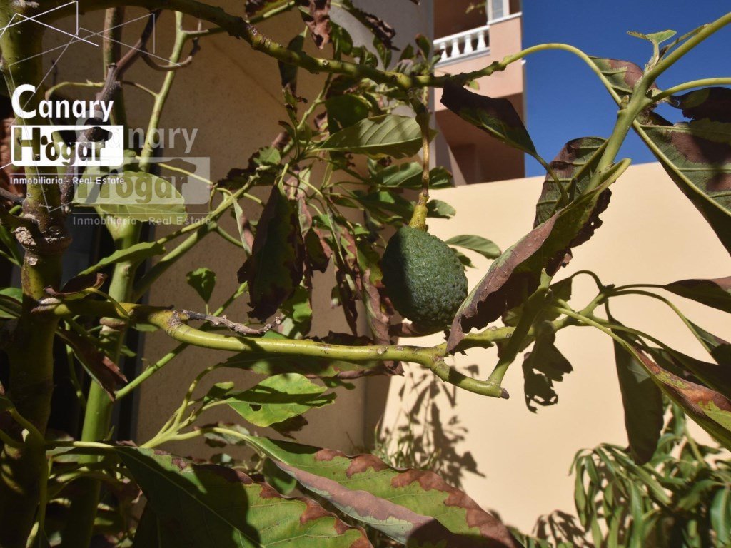 Appartement 168 m² à Granadilla de Abona