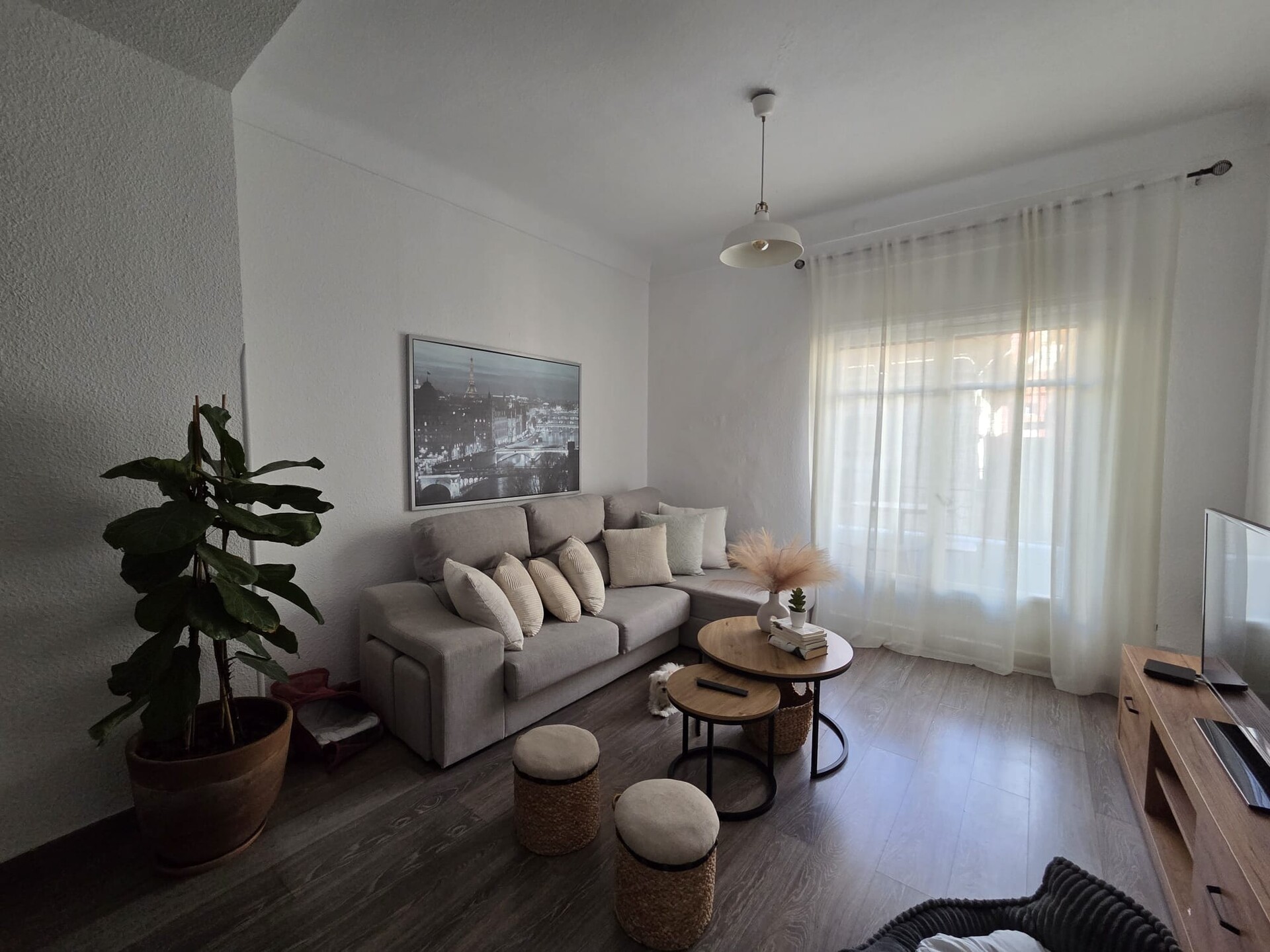 Stanza 12 m², Alacant / Alicante