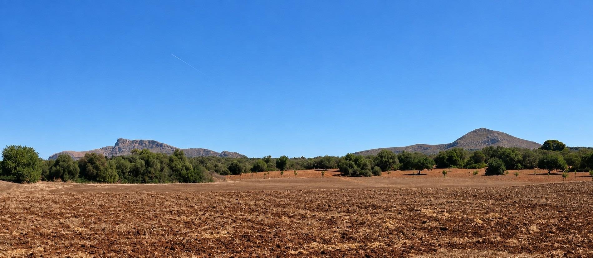 Casa de 150 m² en Petra