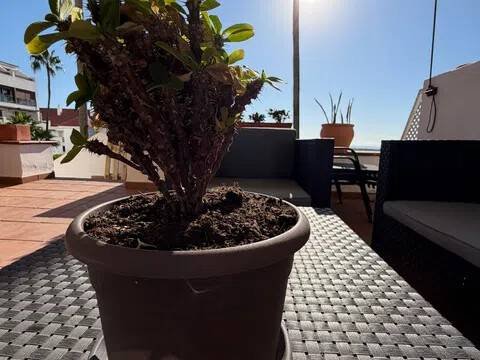 Piso de 80 m² en Mijas