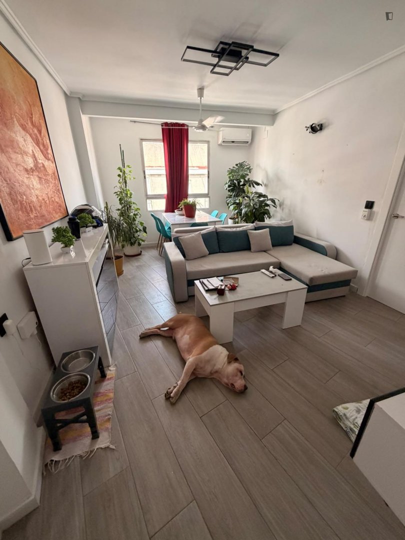 Zimmer zur Miete, Valencia