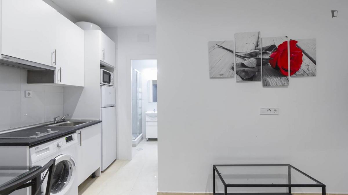 Pis de 33 m² a Madrid