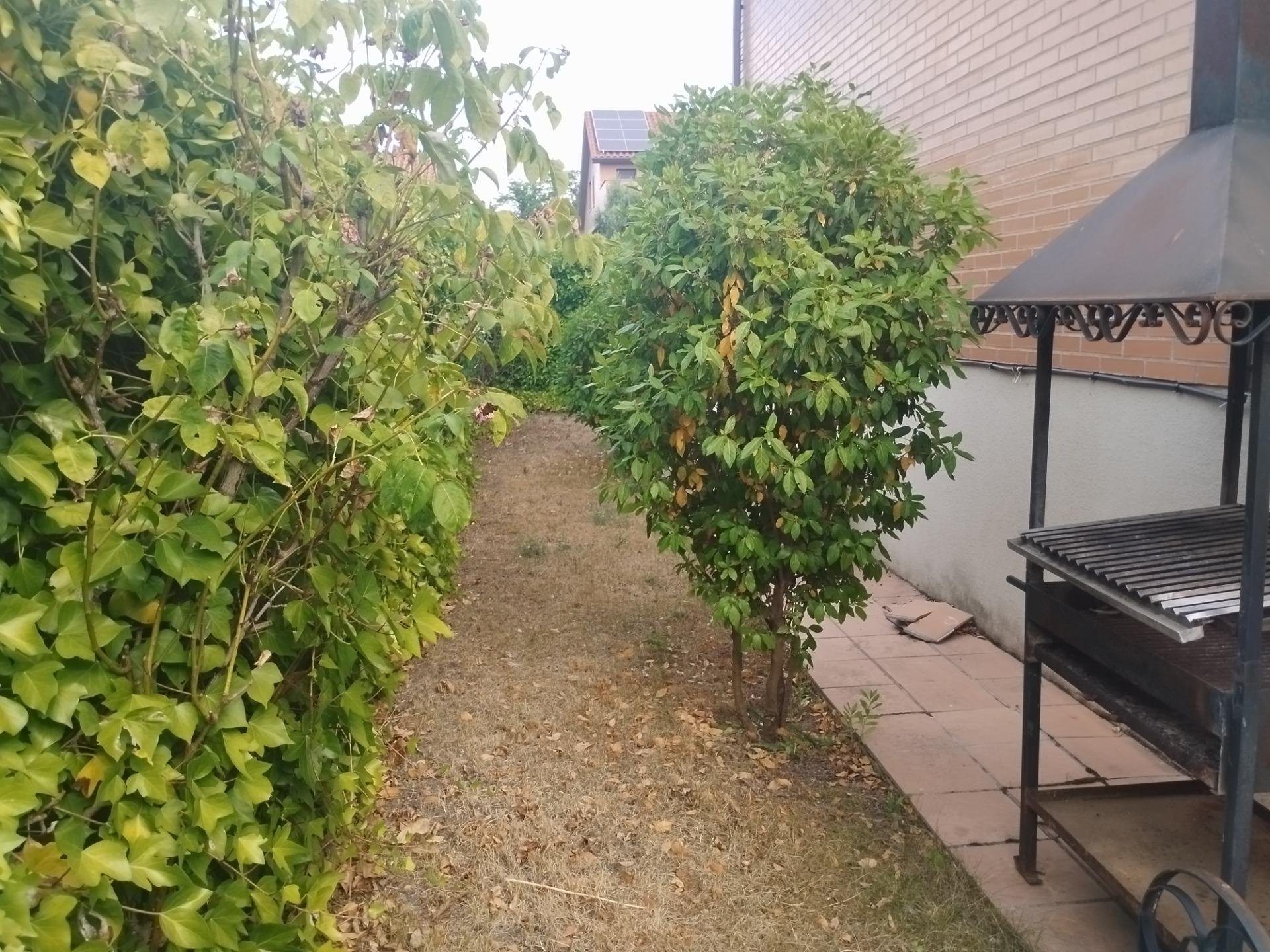 Appartamento 264 m² a Valladolid