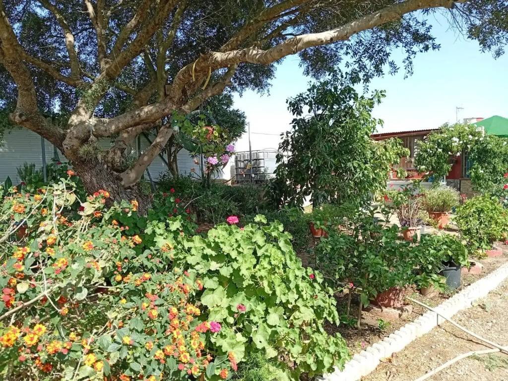 Piso de 40 m² en Medina Sidonia