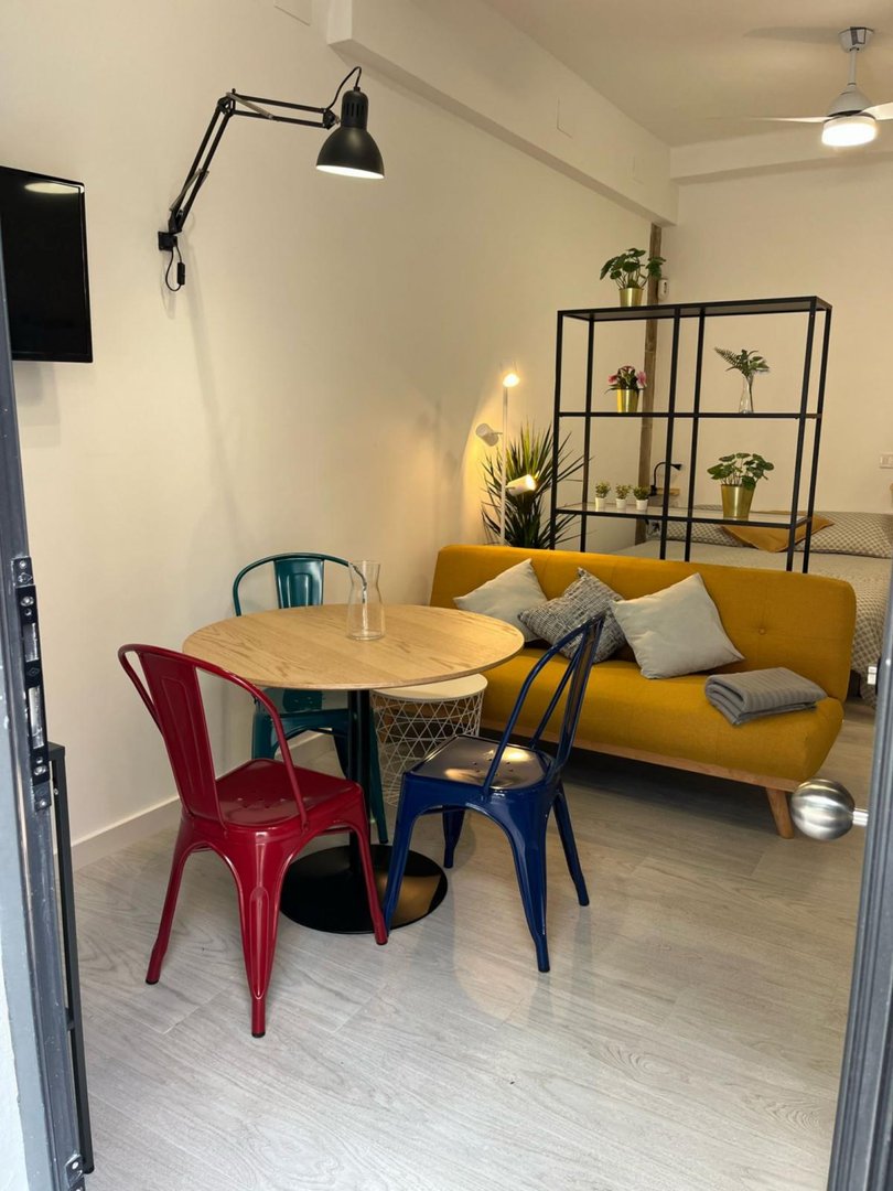 Pis de 24 m² a València