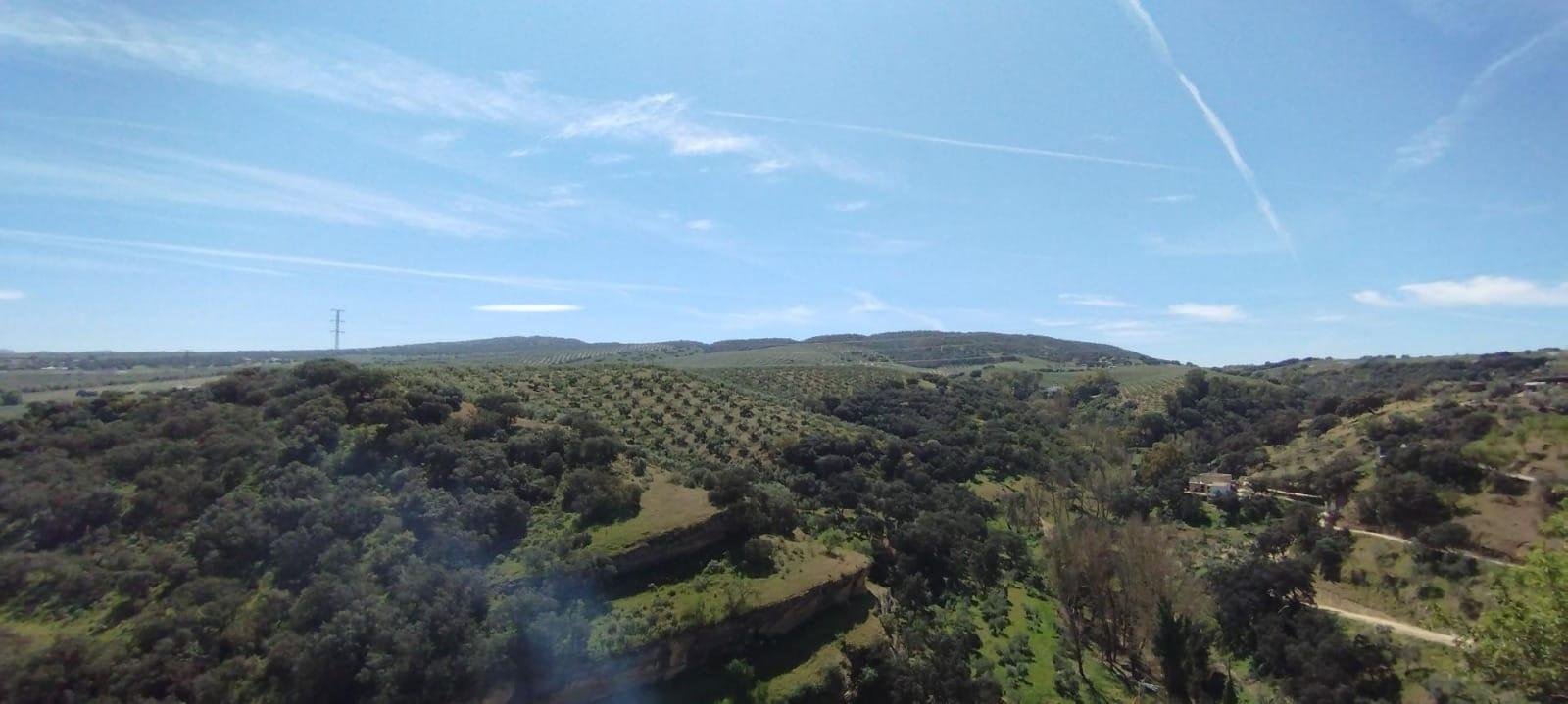 Casa de 232 m² en Setenil de las Bodegas