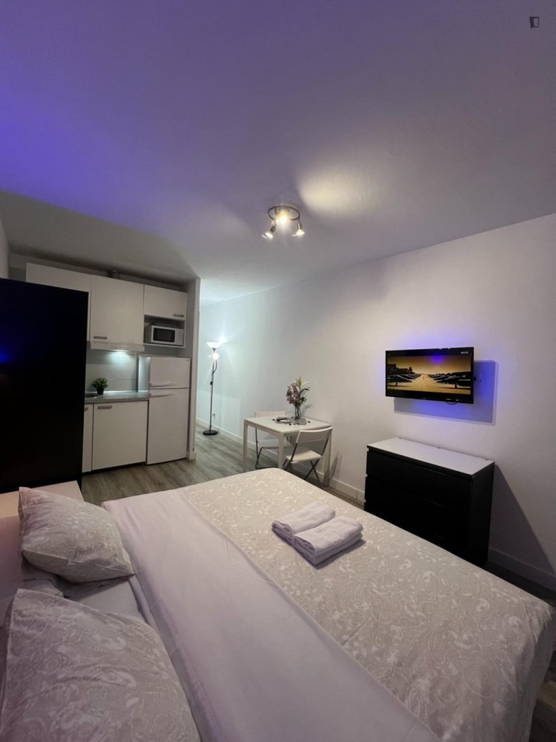 Appartamento 21 m² a Madrid