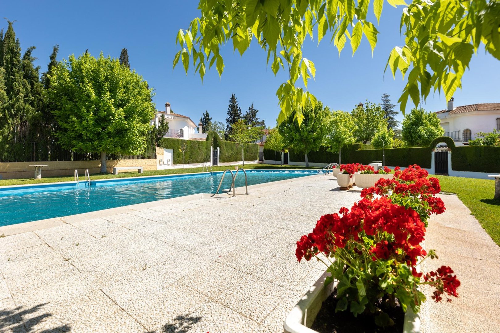Maison 231 m² à Albolote
