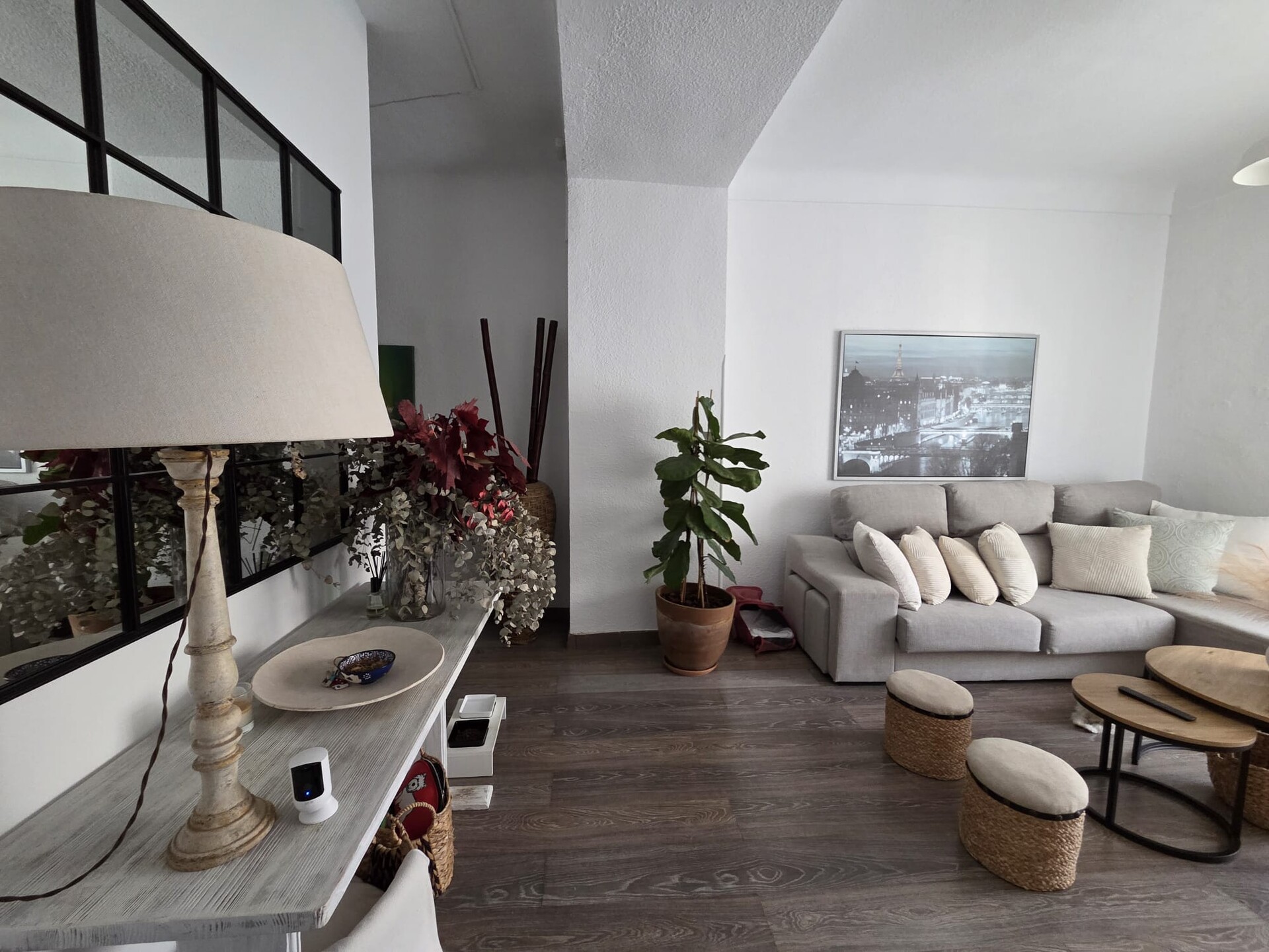Stanza 12 m², Alacant / Alicante