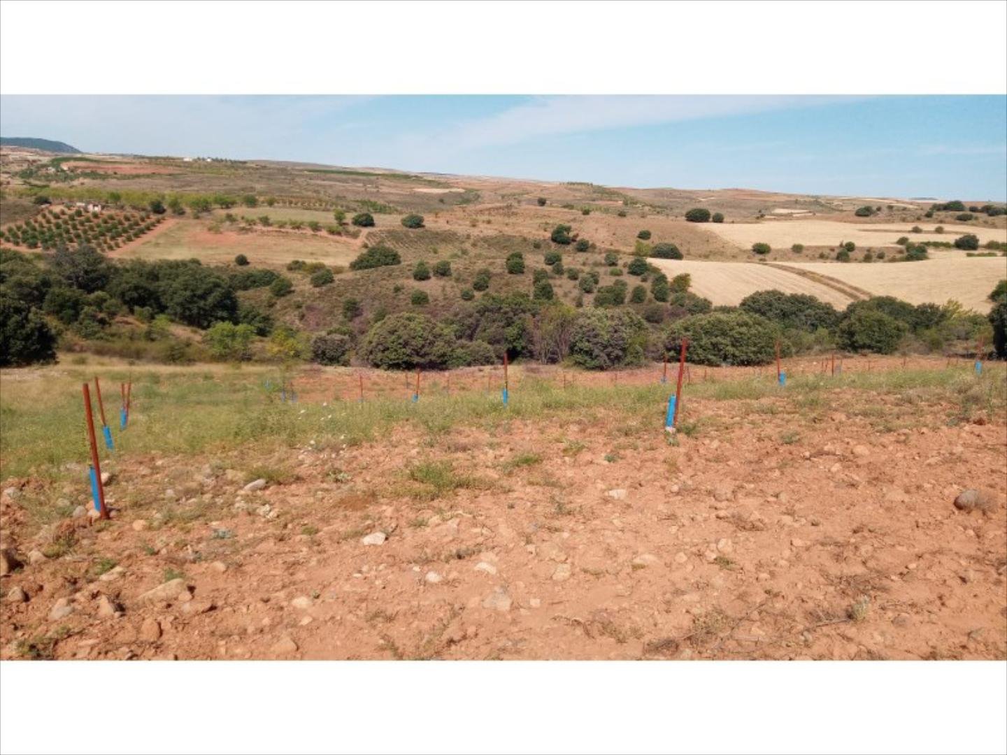 Pis de 3383 m² a Clarés de Ribota
