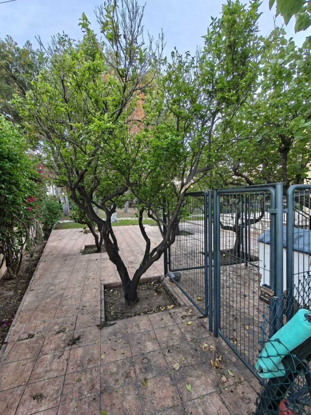 Pis de 252 m² a Sant Vicent del Raspeig
