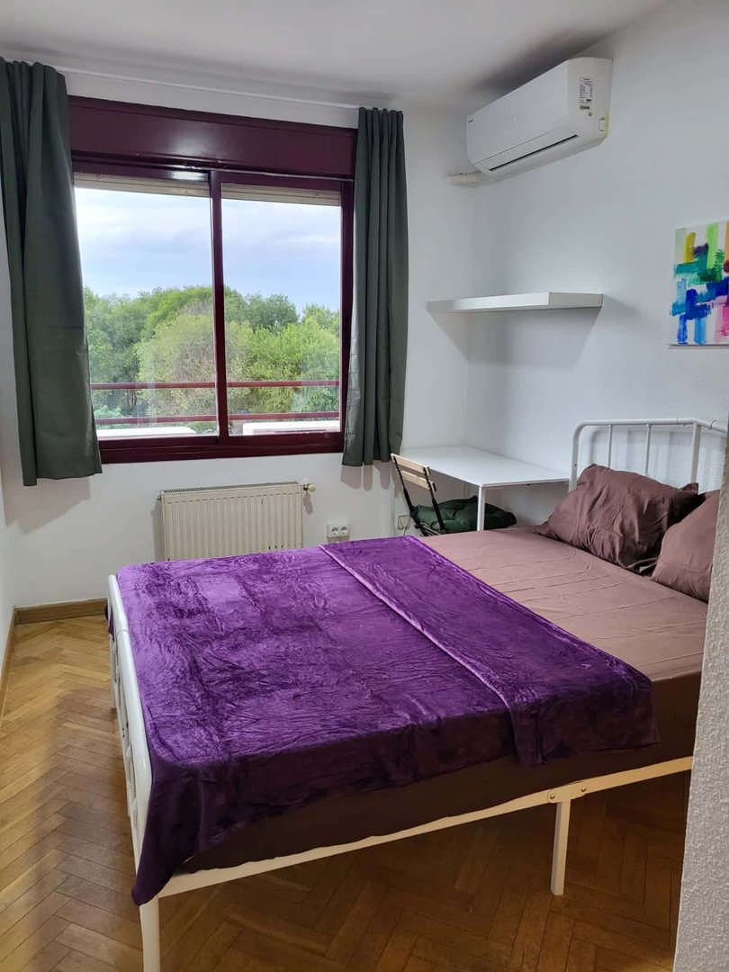 Habitació de lloguer, Madrid