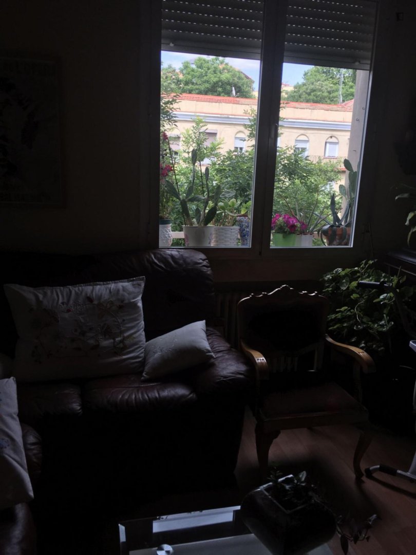 Habitació de lloguer, Madrid
