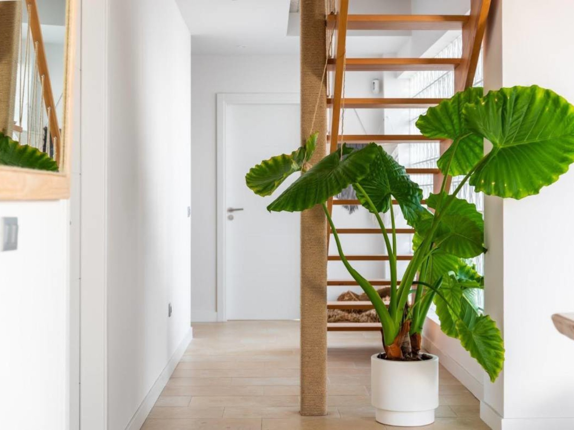Pis de 200 m² a Granadilla de Abona