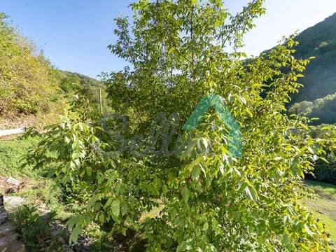 Casa de 200 m² en Mieres