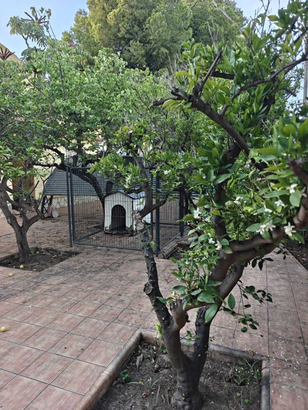 Pis de 252 m² a Sant Vicent del Raspeig