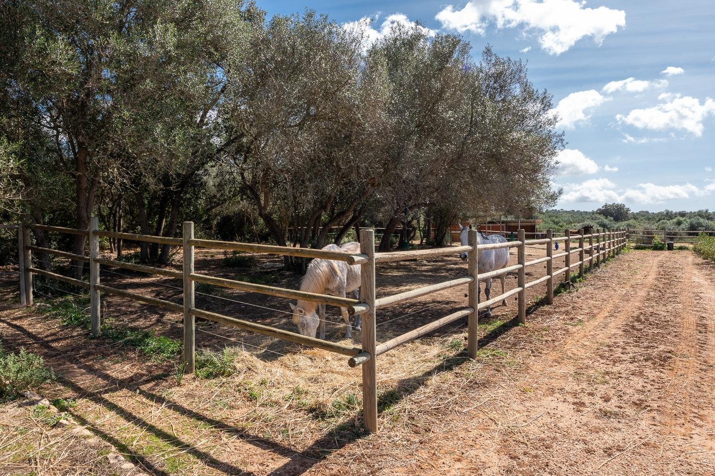 Piso de 507 m² en Campos