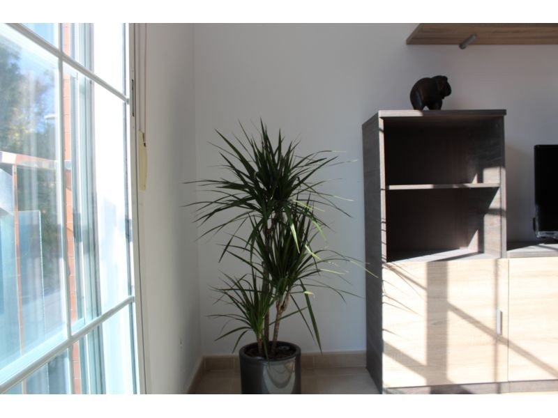 Appartamento 80 m² a Murcia