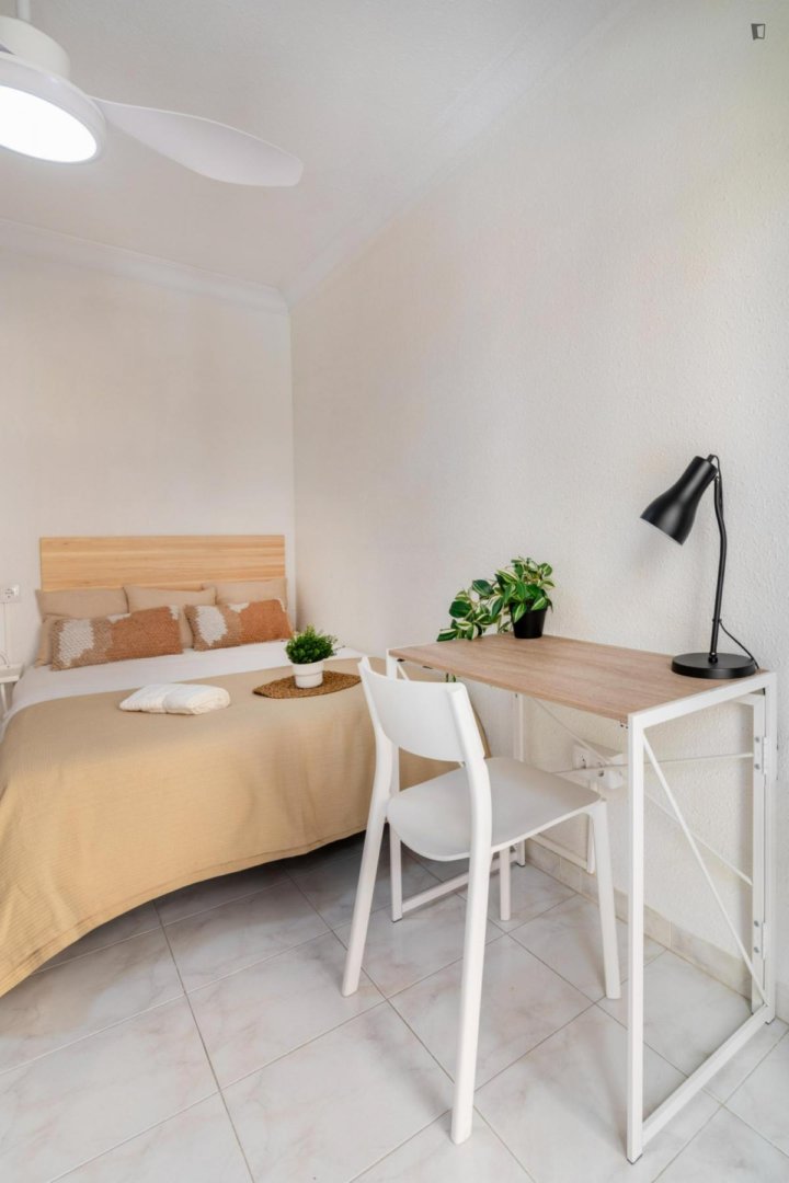 Stanza in affitto, Valencia