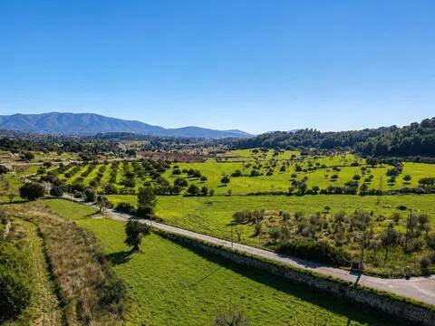 Appartamento 274 m² a Calvià