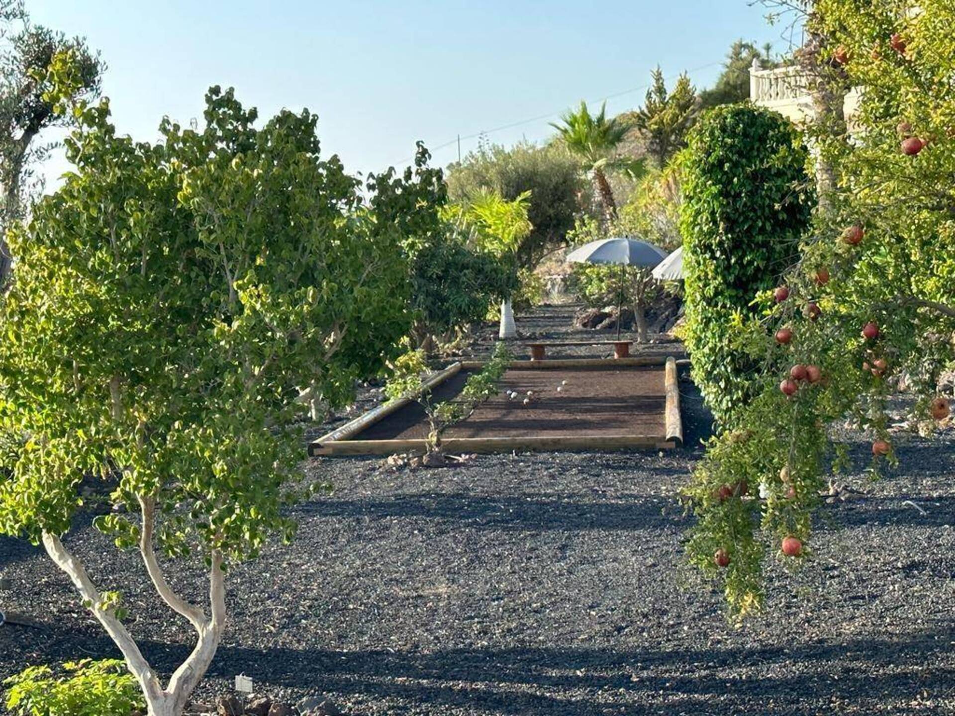 Pis de 400 m² a Adeje