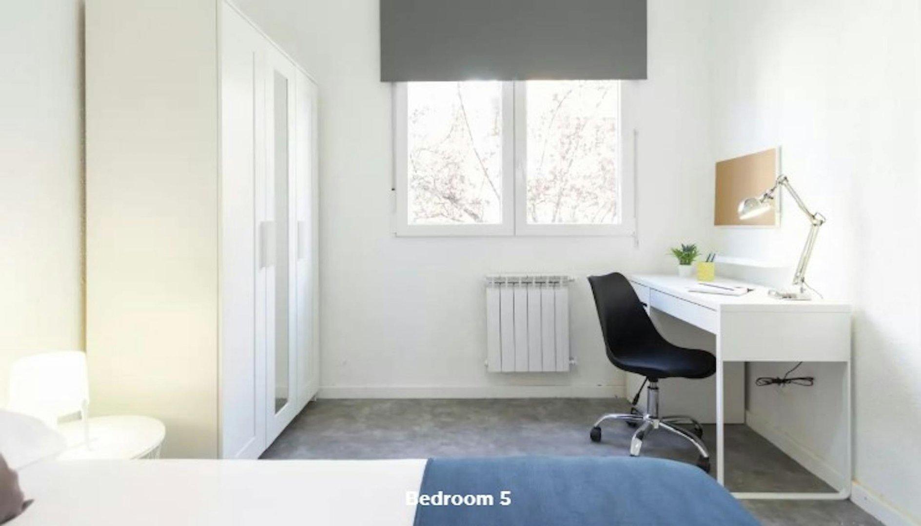 Zimmer zur Miete, Madrid
