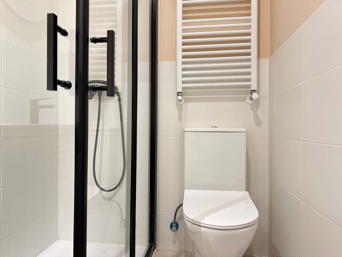 Chambre à louer, Madrid