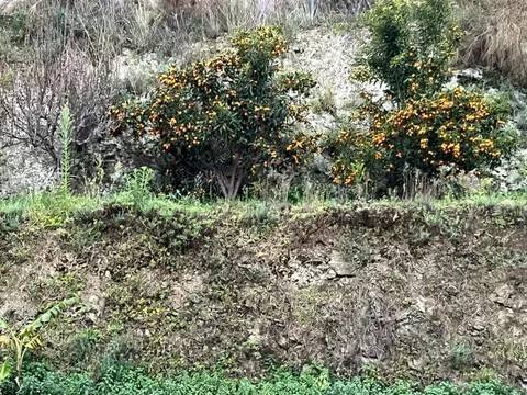 Casa de 80 m² a Molvízar