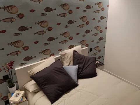 Pis de 40 m² a Madrid