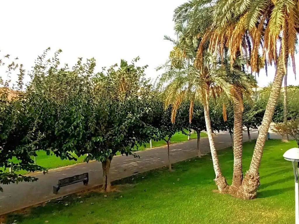 Piso de 53 m² en Torreblanca