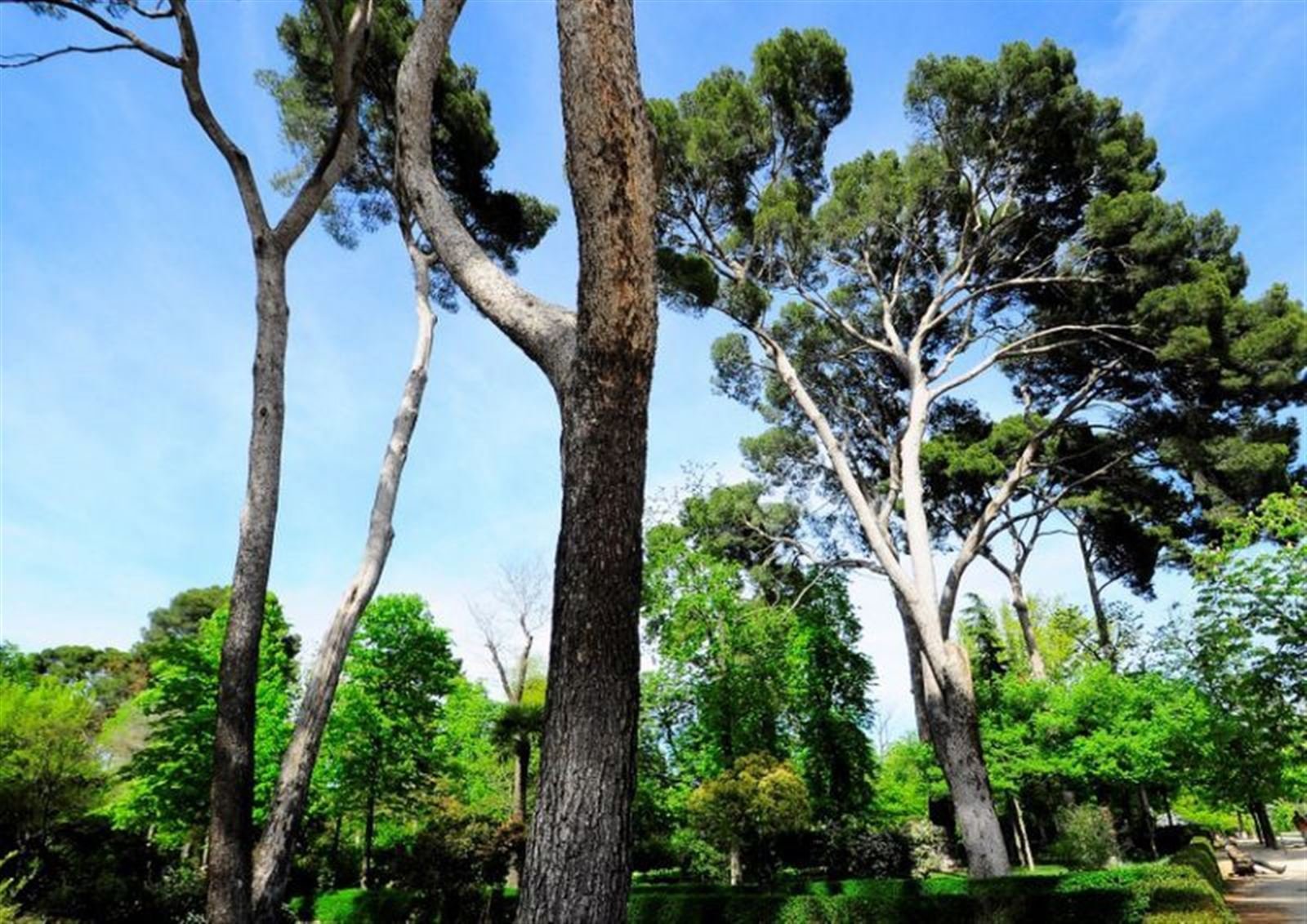 Appartamento 60 m² a Madrid