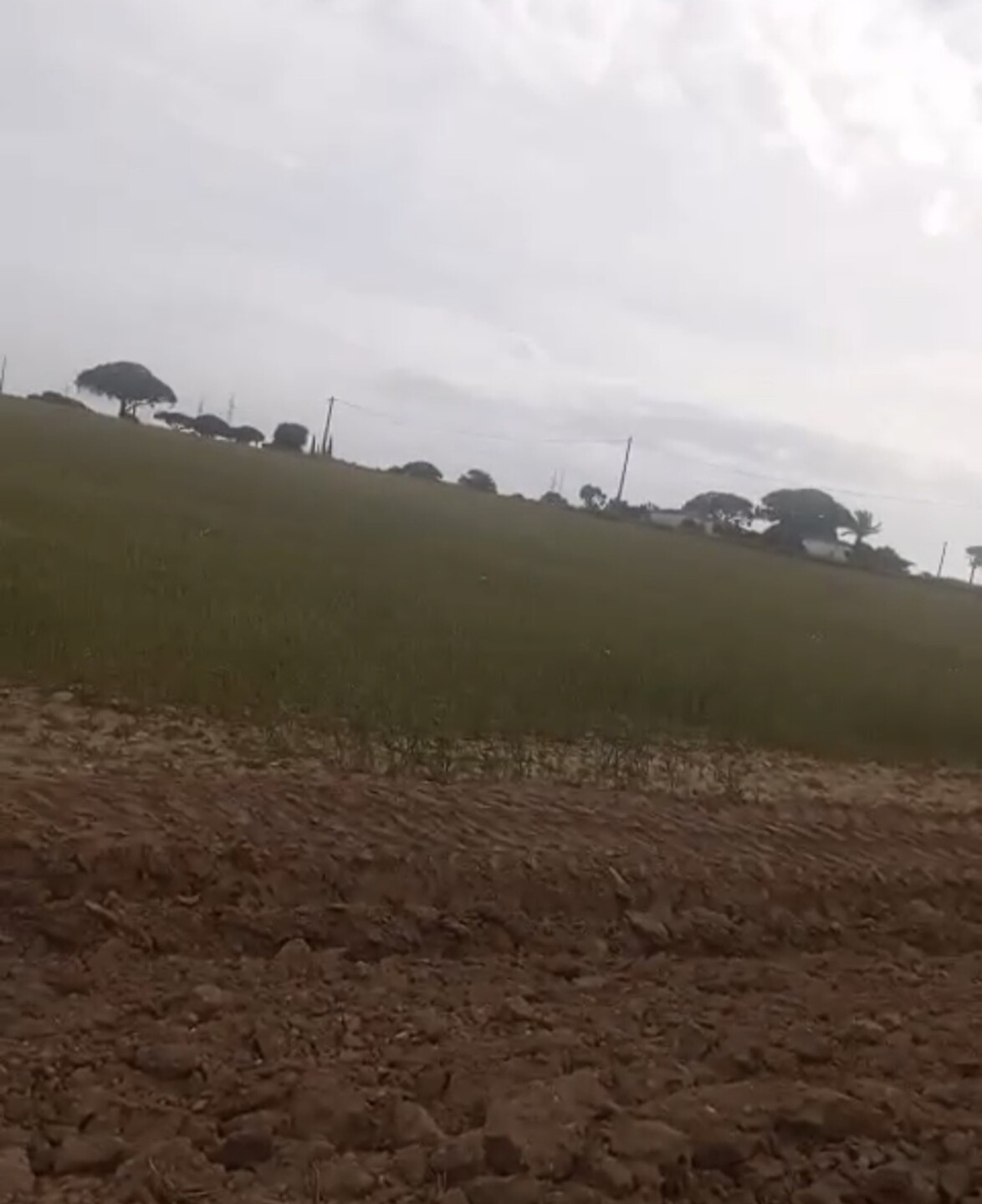 Pis de 250 m² a Puerto Real