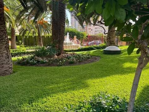 Piso de 255 m² en Alicante