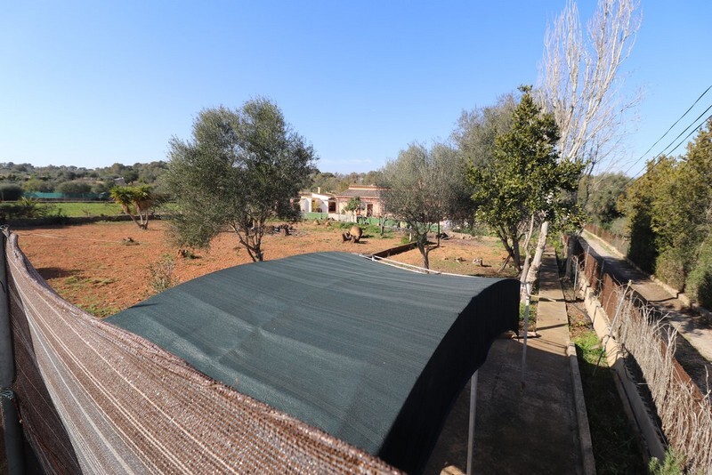 Habitació de lloguer, Algaida