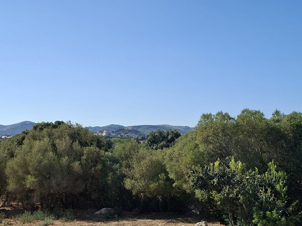 Appartamento 345 m² a Artà