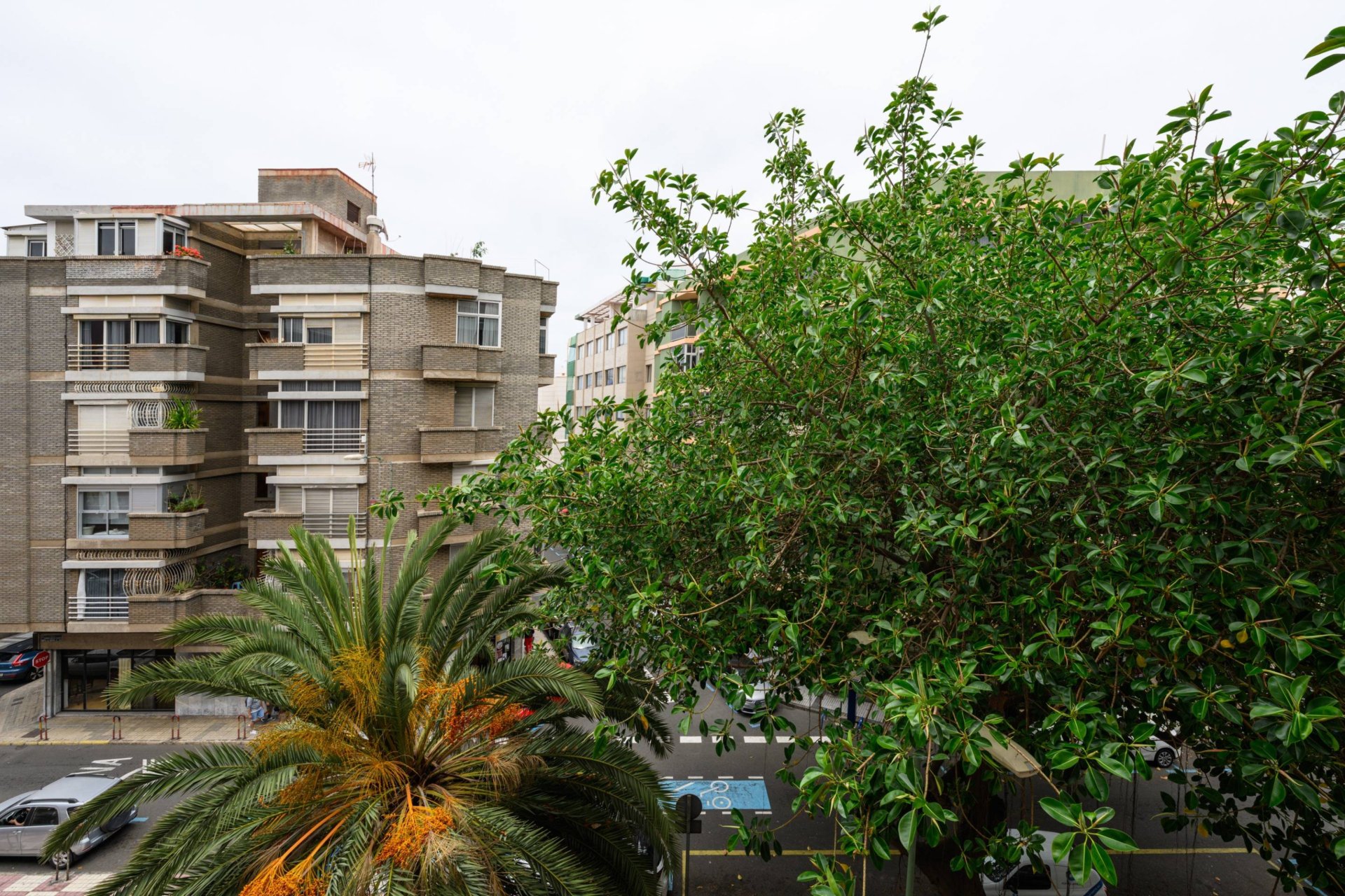 Piso de 194 m² en Las Palmas de Gran Canaria