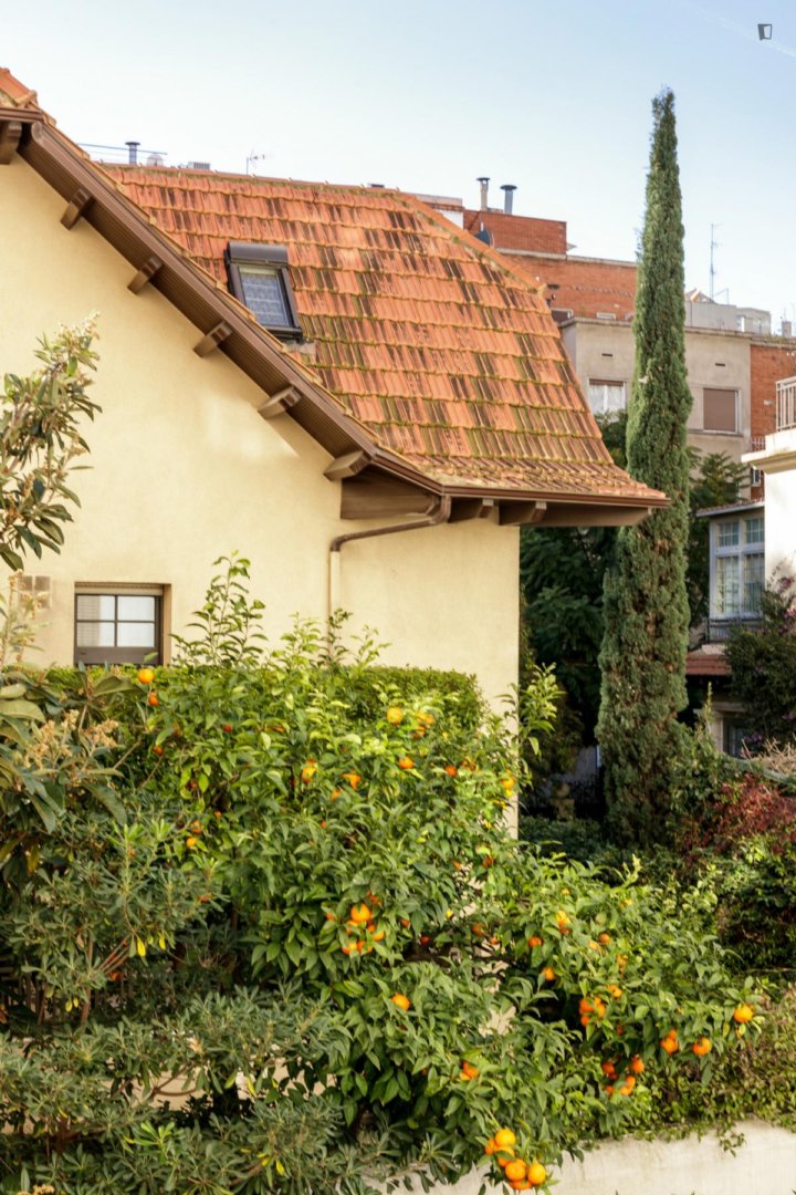 Chambre à louer, Barcelone
