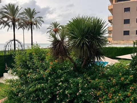Pis de 40 m² a Calafell