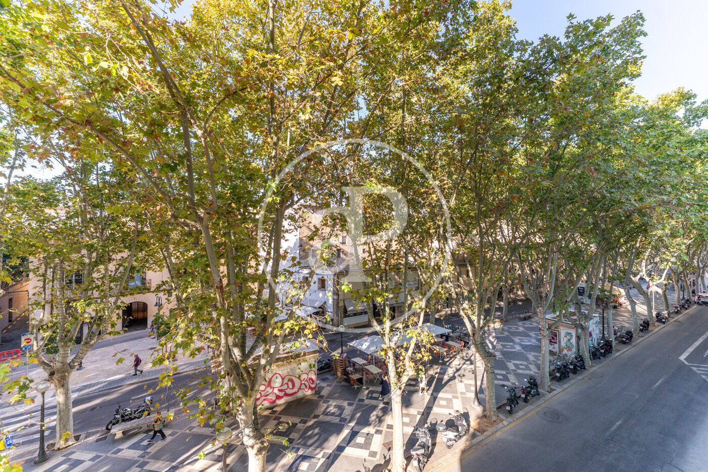 Pis de 166 m² a Palma