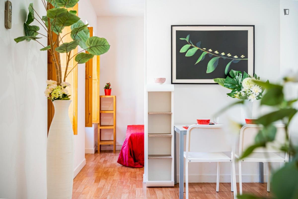 Appartamento 40 m² a Madrid