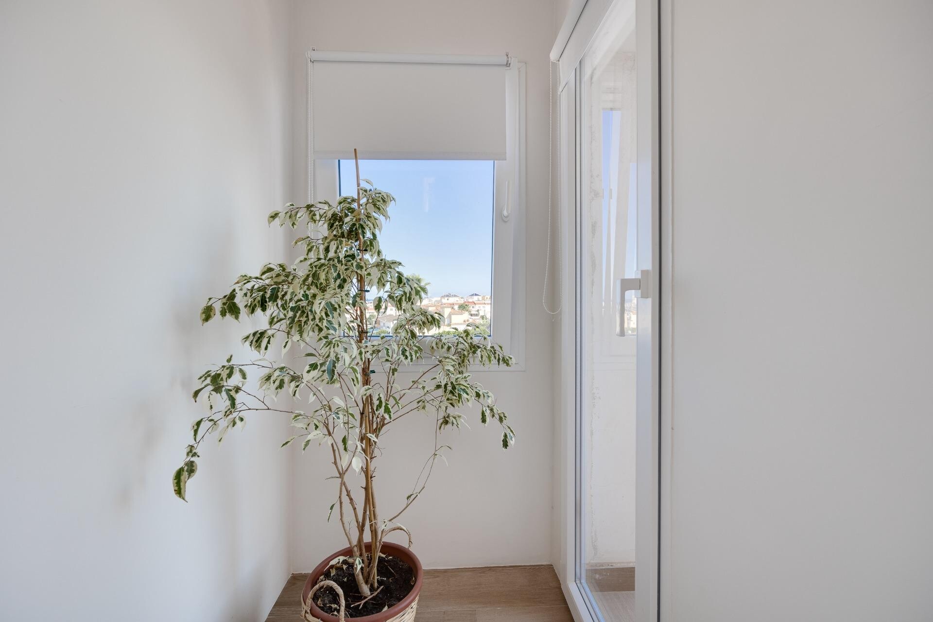 Casa de 355 m² a Torrevella