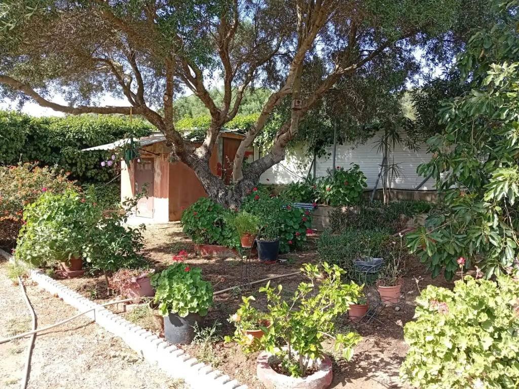Piso de 40 m² en Medina Sidonia
