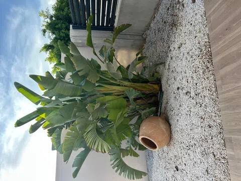 Piso de 121 m² en Almería