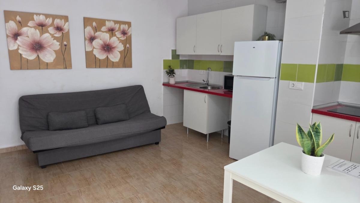Room for rent, Seville