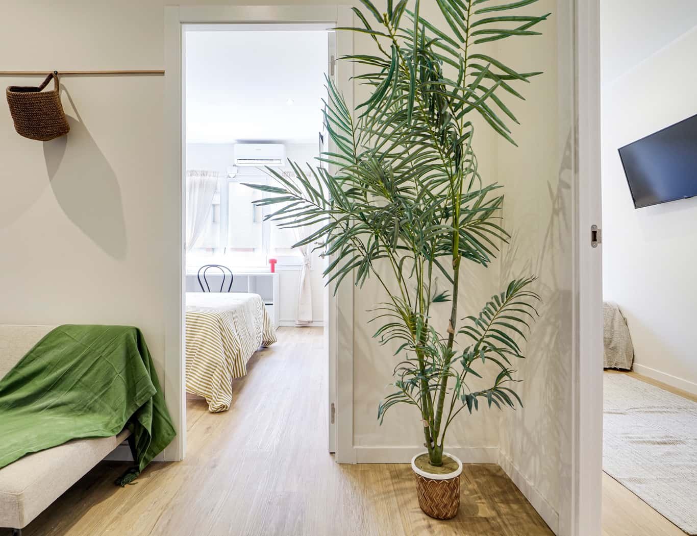 Habitació de lloguer, Barcelona