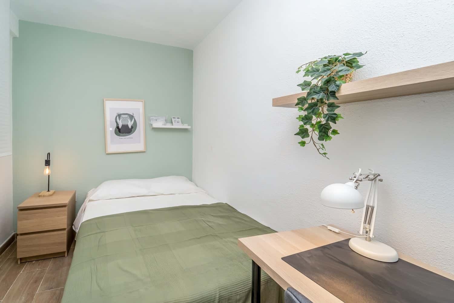 Habitació de lloguer, Valladolid